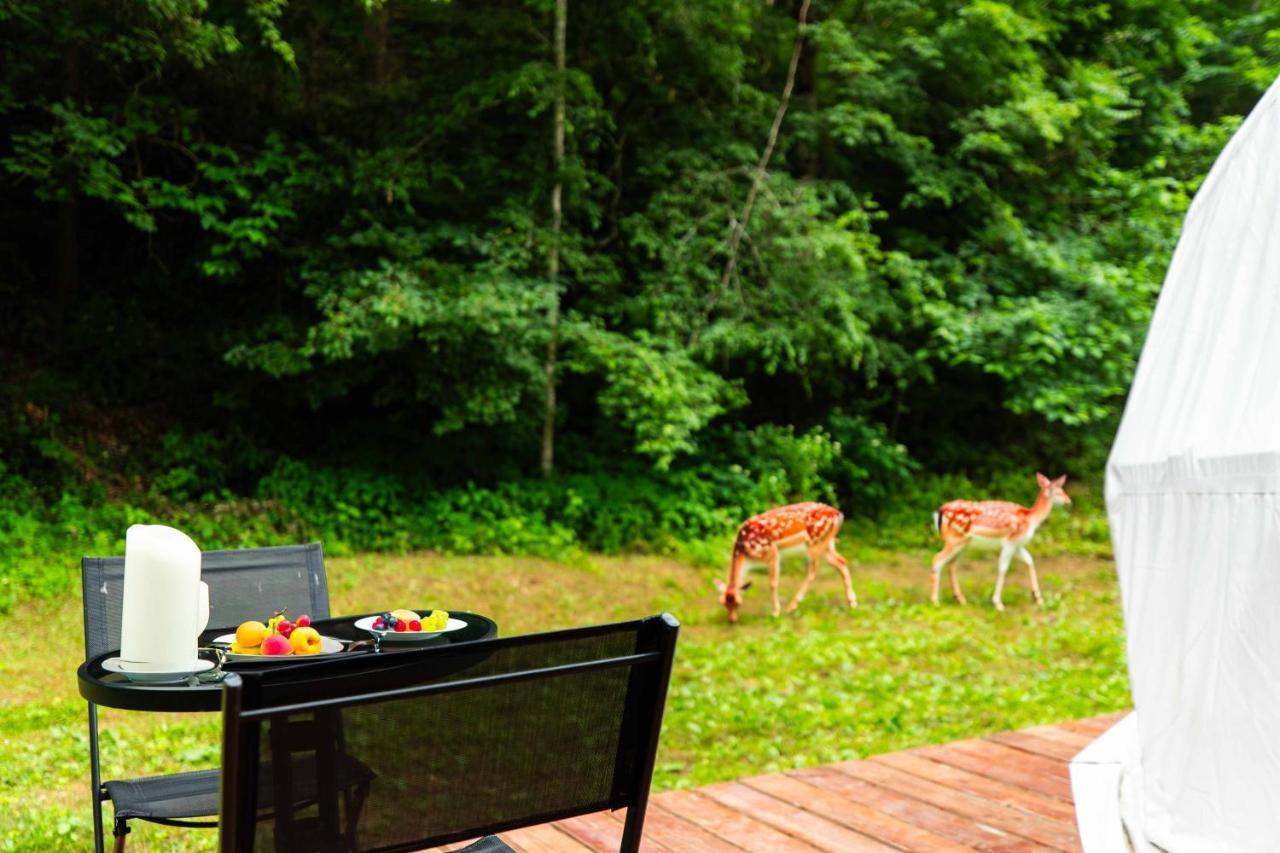 Solace Glamping 2 Sevierville Zewnętrze zdjęcie